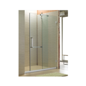 Shower Partitions