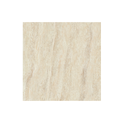 Polished Vitrified Tiles